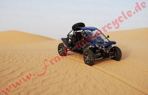 Fight Wolf 1100 4x4 nb Luck Buggy