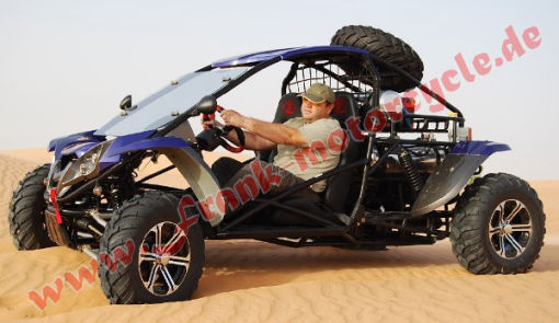 Fight Wolf 1100 Renli Buggy