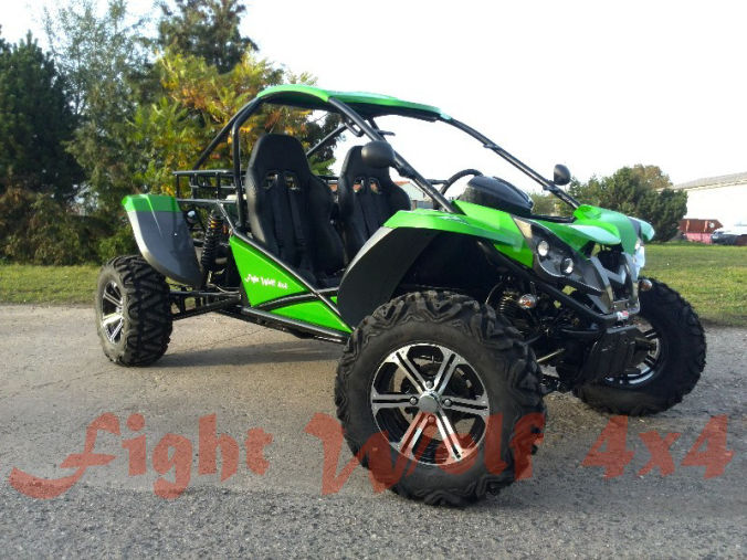 Fight Wolf 1100 4x4 Renli Buggy